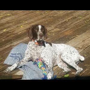 Meet your Posher, Dee